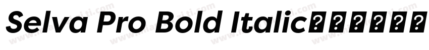 Selva Pro Bold Italic字体转换